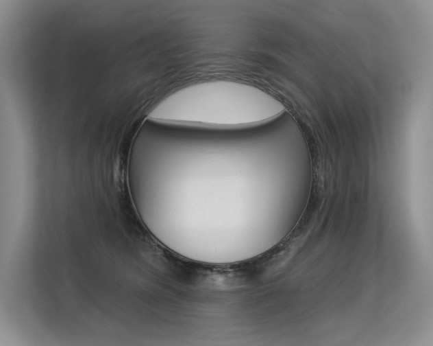 X0000113580420200909181023