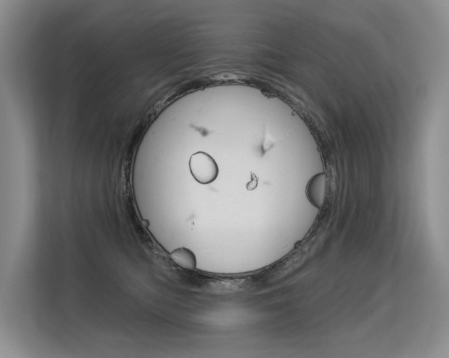 X0000113580422200909181023