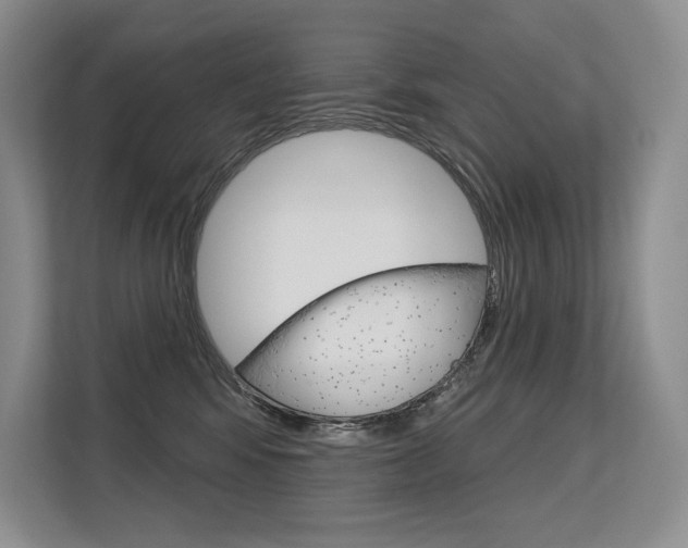 X0000113580424200909181023