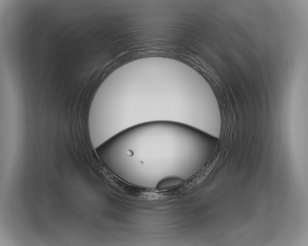 X0000113580425200909181023