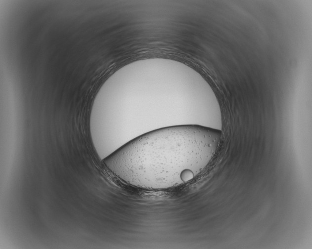 X0000113580428200909181023