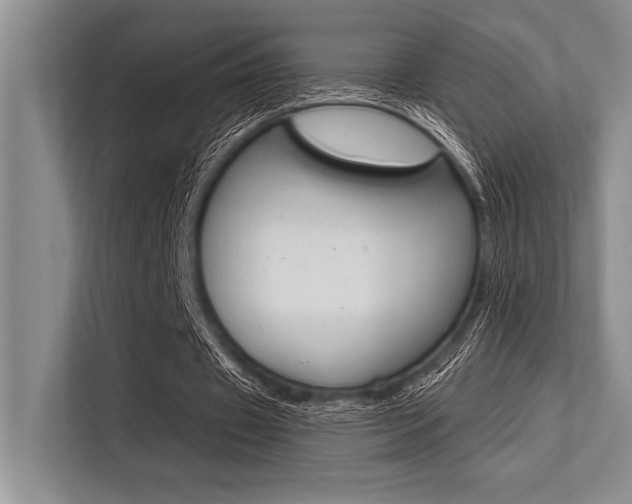 X0000113580433200909181023