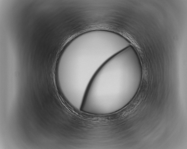 X0000113580434200909181023