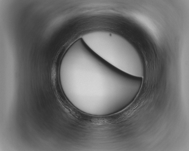 X0000113580435200909181023