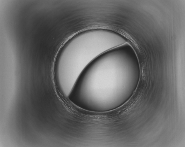X0000113580436200909181023