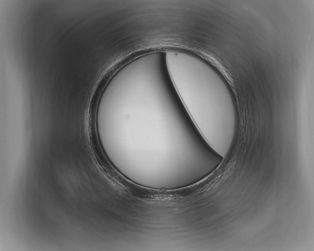 X0000113580439200909181023