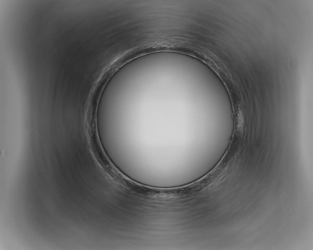 X0000113580444200909181023