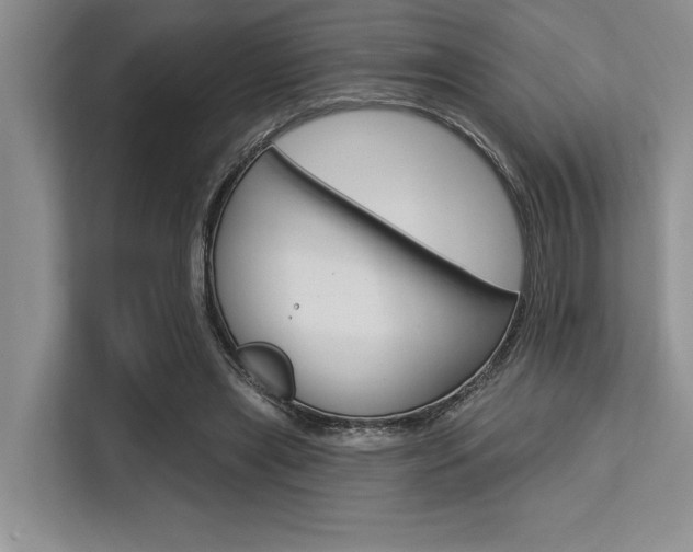 X0000113580445200909181023