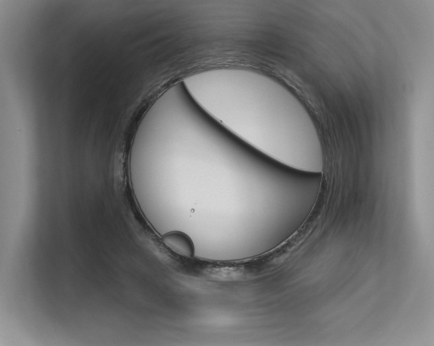 X0000113580449200909181023