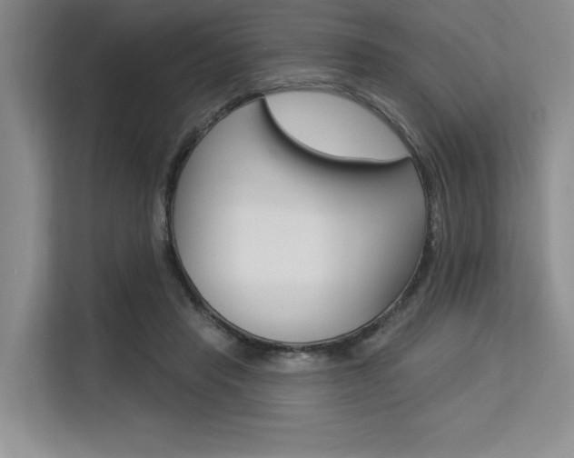 X0000113580453200909181023