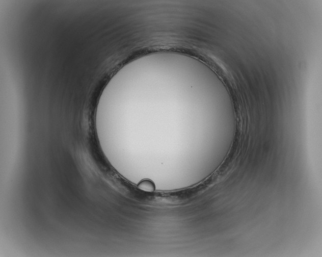 X0000113580455200909181023
