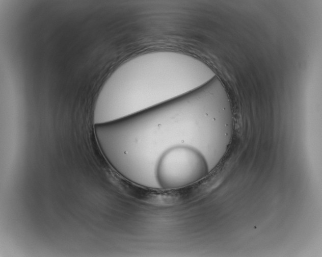 X0000113580466200909181023