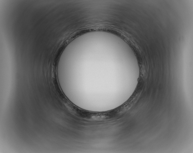 X0000113580470200909181023