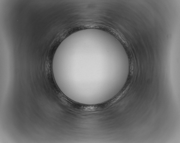 X0000113580473200909181023