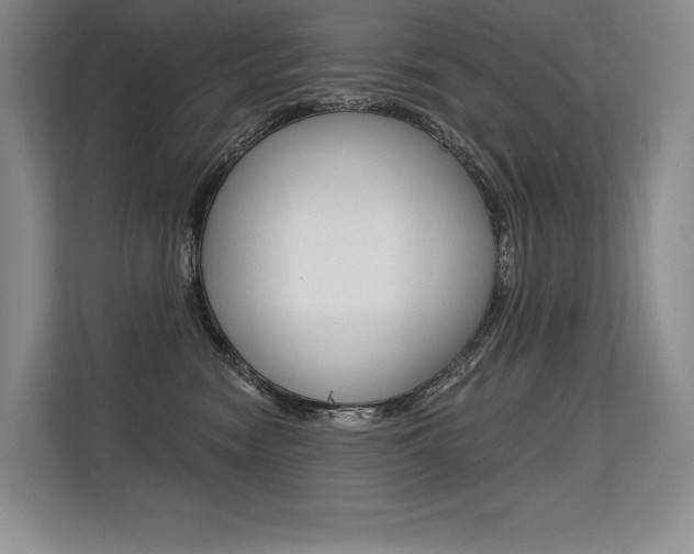 X0000113580474200909181023