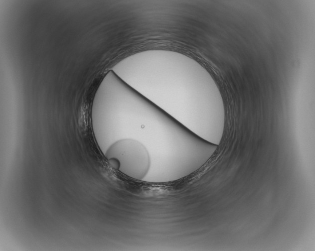 X0000113580475200909181023