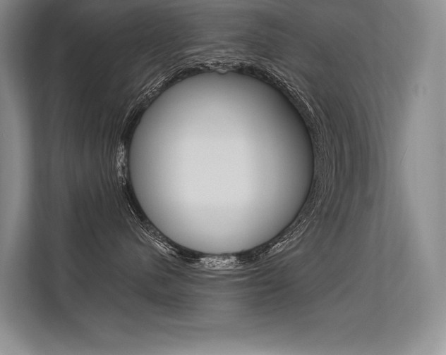 X0000113580480200909181023
