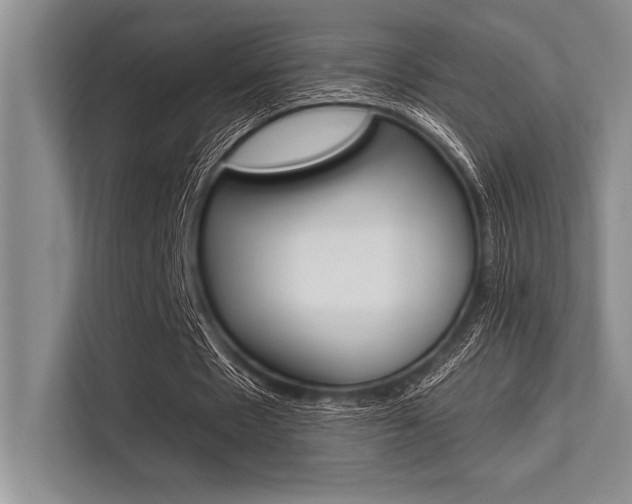 X0000113580481200909181023