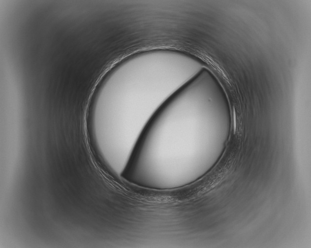 X0000113580483200909181022