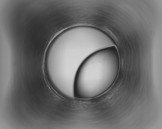 X0000113580484200909181022