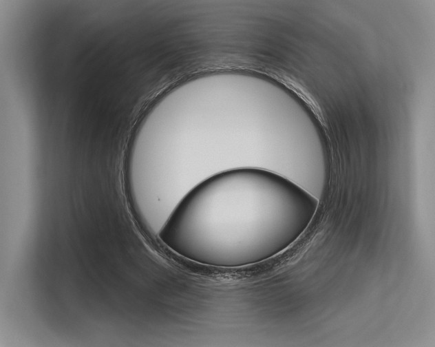 X0000113580489200909181022