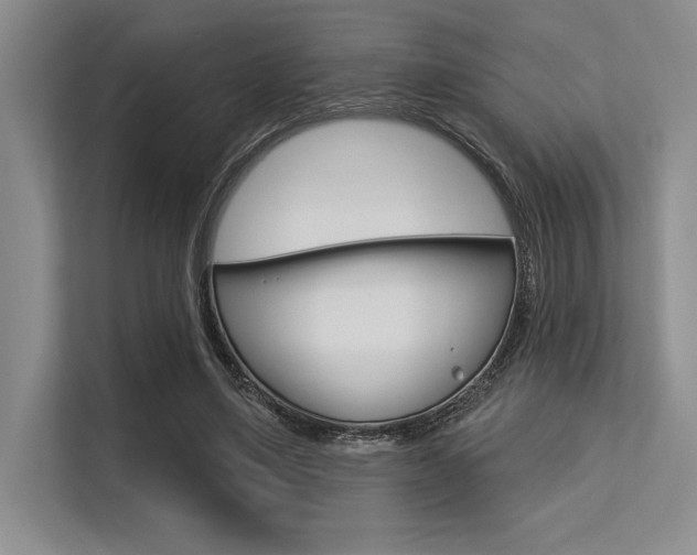 X0000113580491200909181022