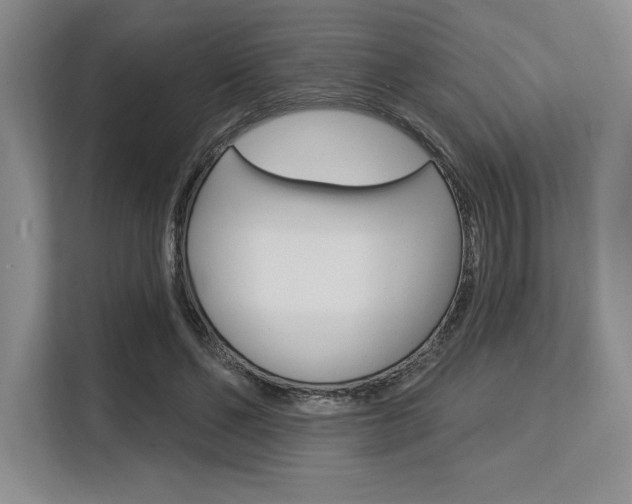 X0000113580494200909181022