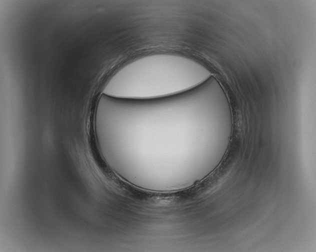 X0000113580495200909181022