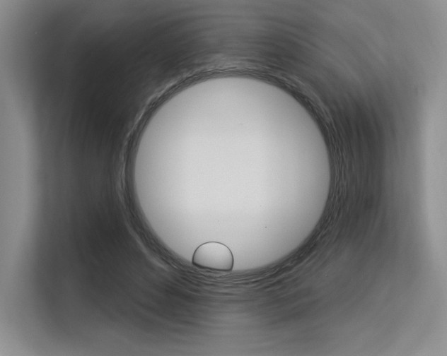 X0000113580496200909181022
