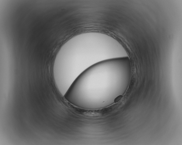 X0000113580512200909181022