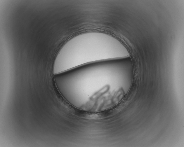 X0000113580513200909181022