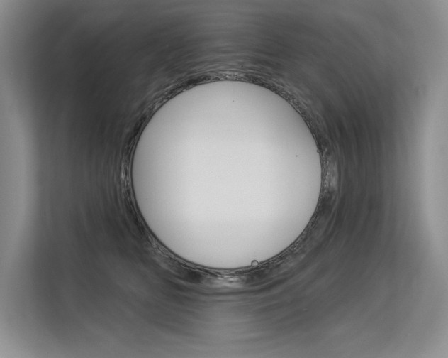 X0000113580518200909181022