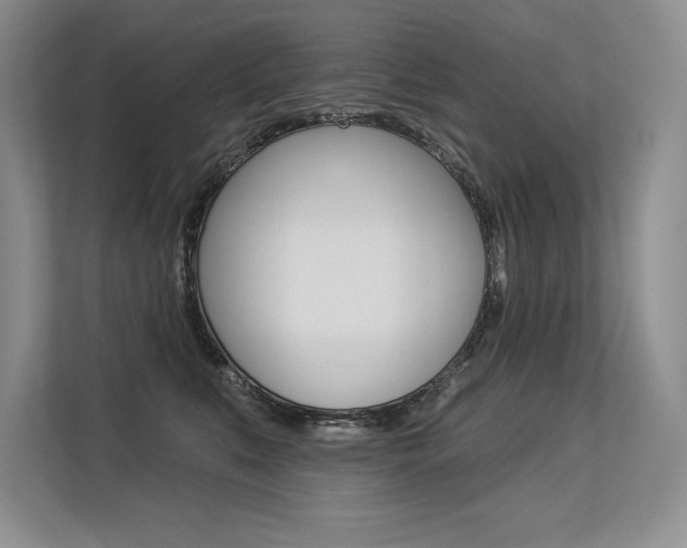 X0000113580519200909181022