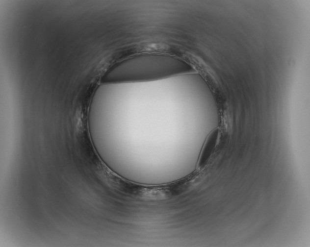X0000113580520200909181022