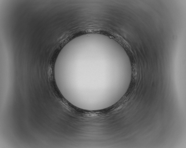 X0000113580523200909181022