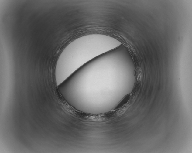 X0000113580524200909181022