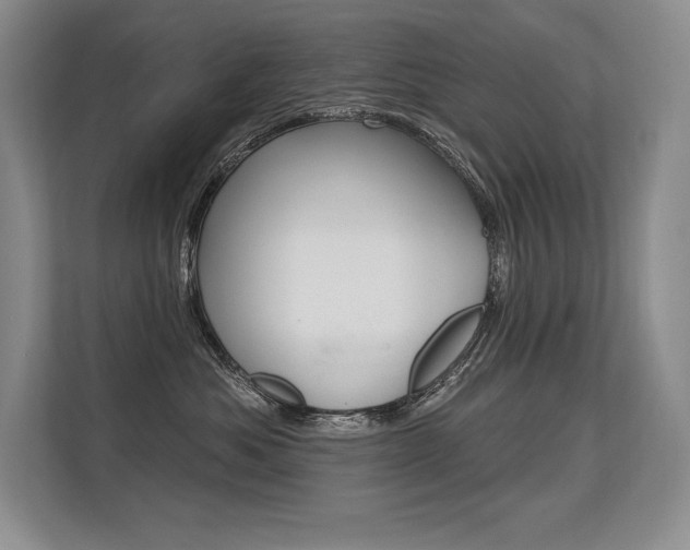 X0000113580525200909181022