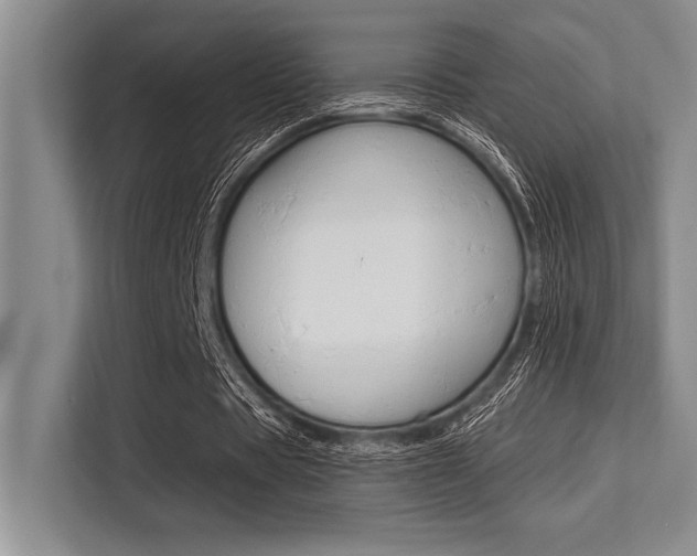 X0000113580529200909181021