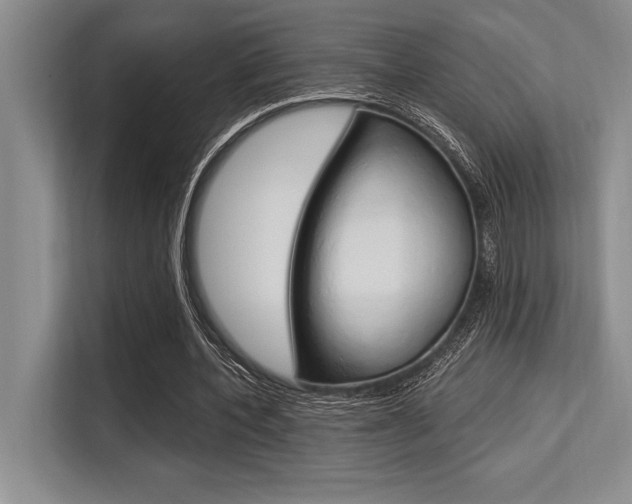 X0000113580532200909181021