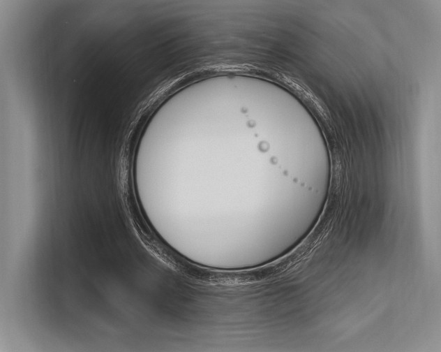 X0000113580533200909181021