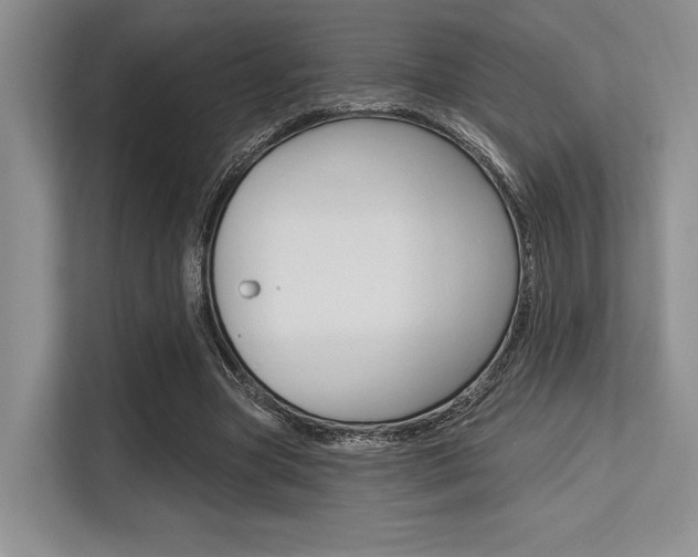 X0000113580537200909181021