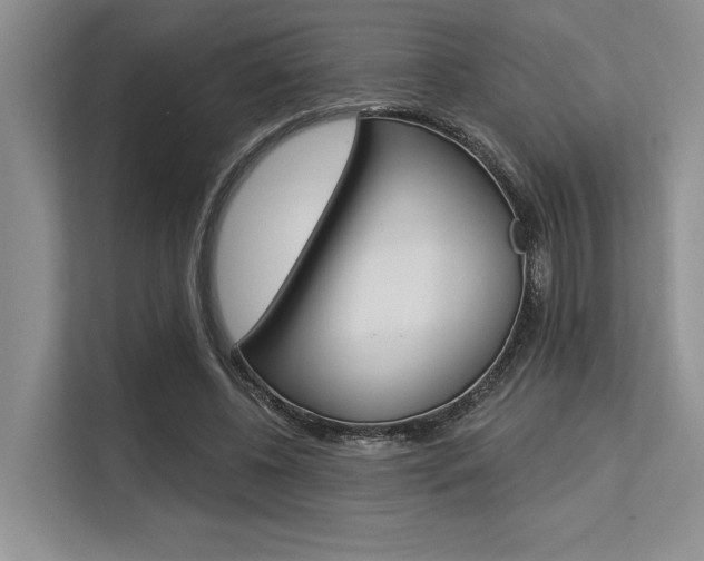 X0000113580540200909181021