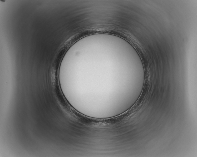 X0000113580542200909181021