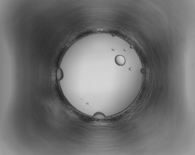 X0000113580545200909181021