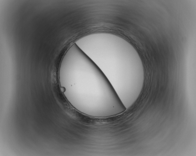X0000113580547200909181022