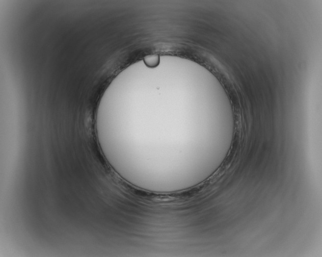 X0000113580557200909181022