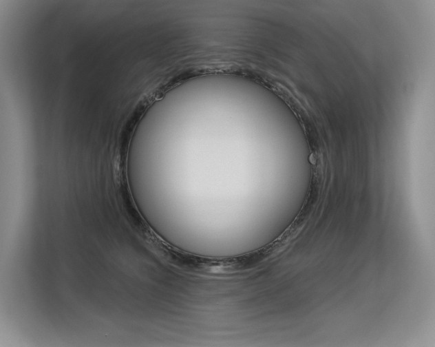 X0000113580564200909181022