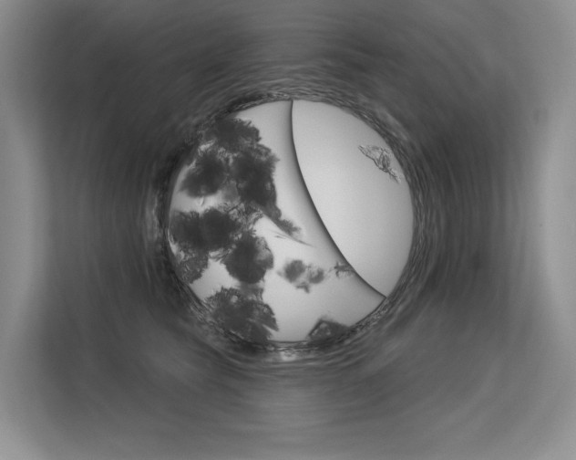 X0000113580565200909181022