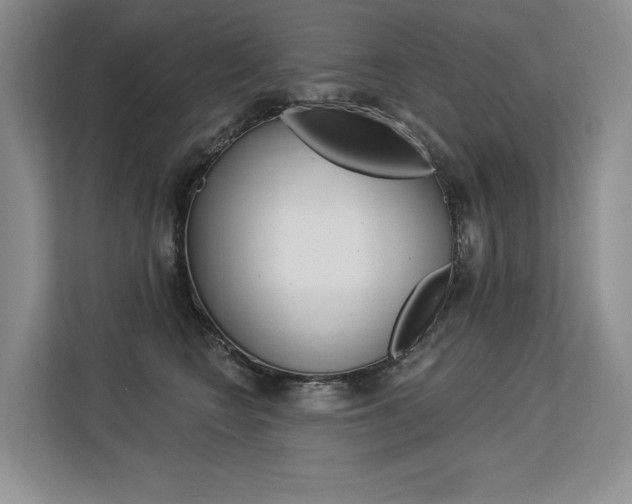 X0000113580566200909181022