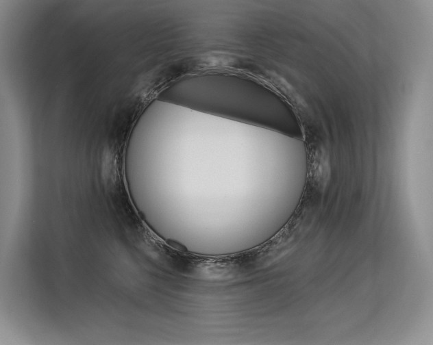 X0000113580568200909181022